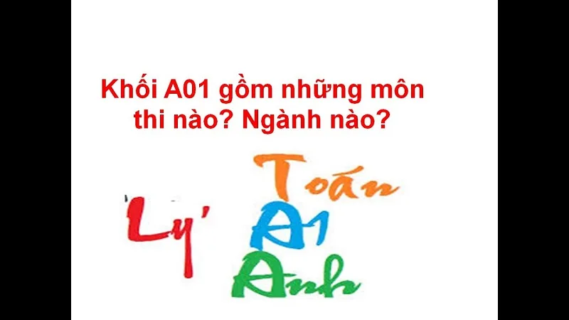 a01gmnhngmnno