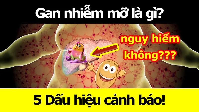 gannhimmcnguyhimkhng