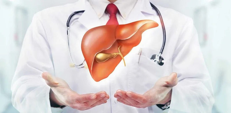 Gan nhiễm mỡ có thể gây ra biến chứng gì?